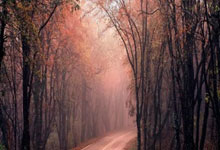 前恒大助攻王刚在国安首发!下轮就将重回替补席,染红国脚踢主力.