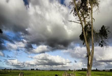 记者:朱辰杰不能完整合练出战可能性不大,王世龙可能首次首发.