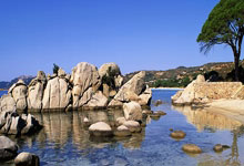 前恒大助攻王刚在国安首发!下轮就将重回替补席,染红国脚踢主力.